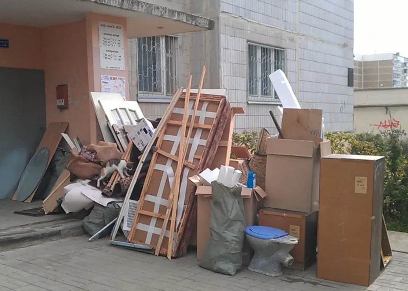 Профессиональный вывоз мусора из квартиры в Находке в октябре