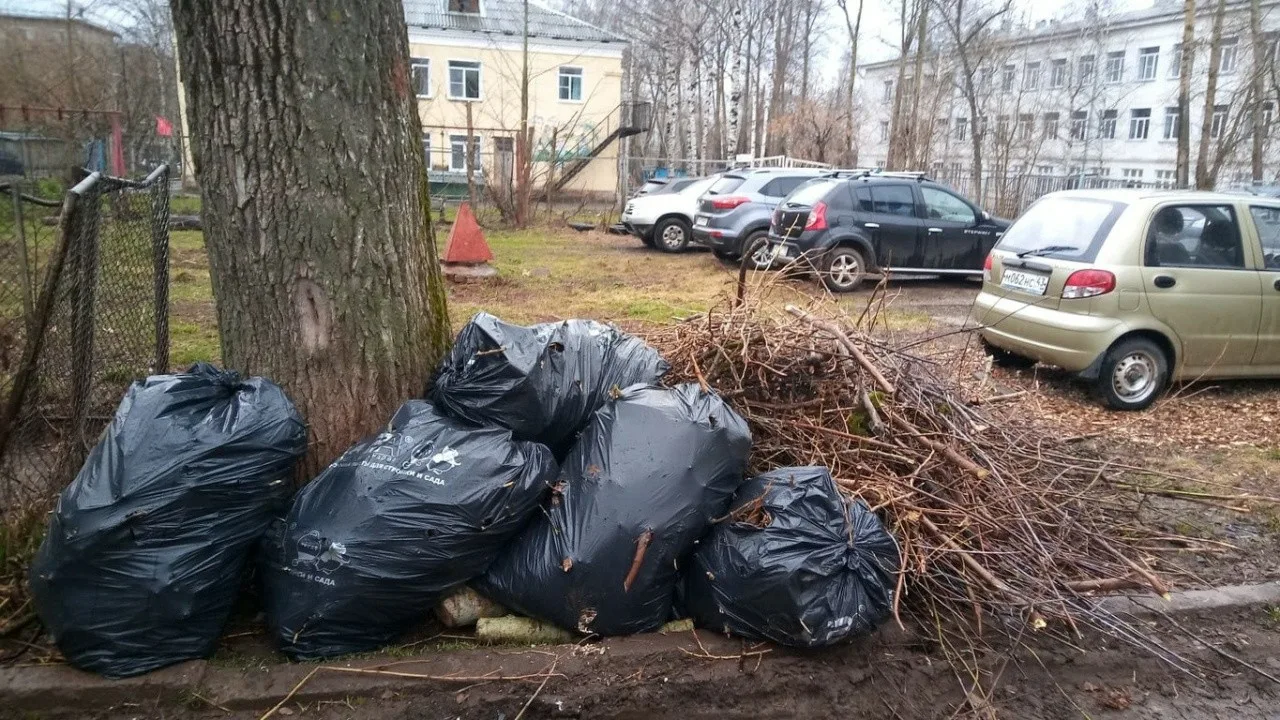 Вывоз мусора после субботника в Находке от ПроМусор – уборка и утилизация отходов от 2424 руб