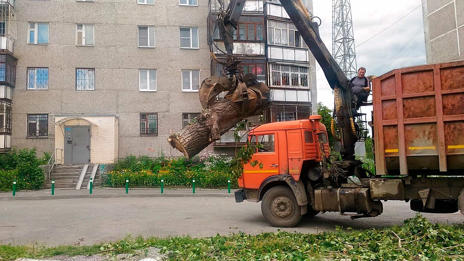 Вывоз спиленных веток и деревьев в Находке от ПроМусор: порубочные остатки, утилизация, цена от 2991 руб