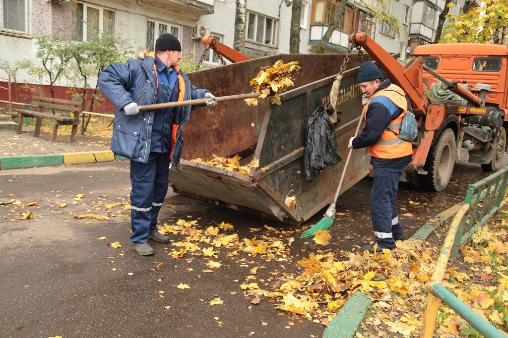 Вывоз опавшей листвы и растительного мусора в Находке от ПроМусор – цена от 4642 руб., быстрая уборка и утилизация